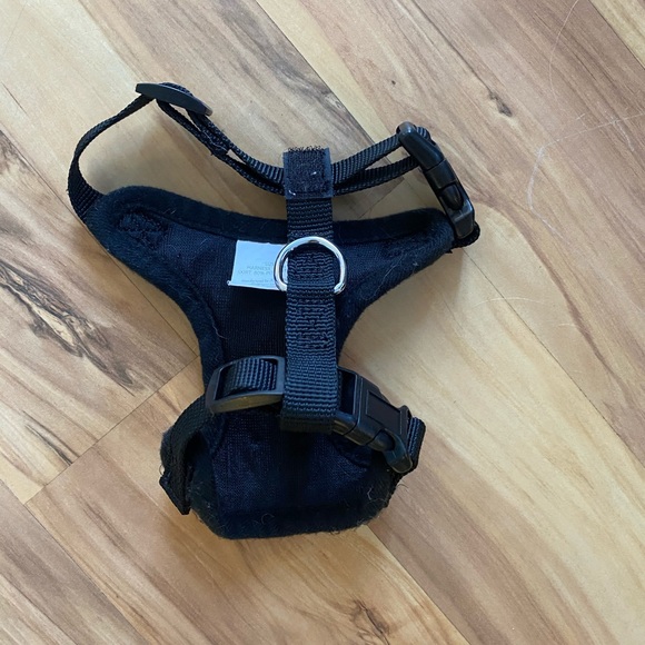 Treat your little fur ball size XS - Picture 6 of 16